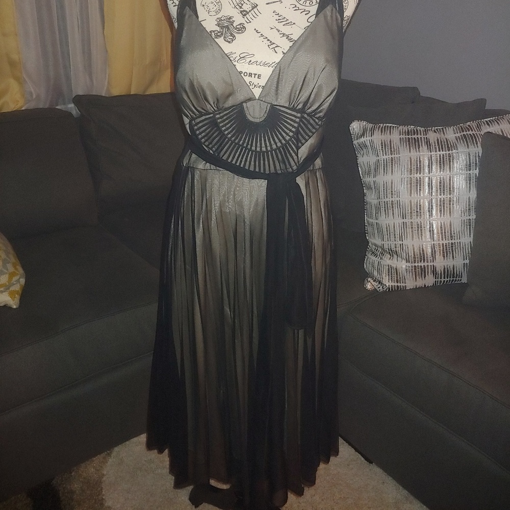 Elegant Black Pleated Sheer Overlay Dress